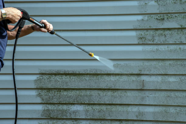 Best Local Pressure Washing Services  in Spring Valley, NV