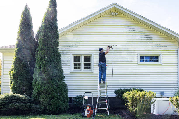 Best Fence Pressure Washing  in Spring Valley, NV